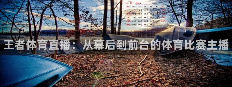 看球吧jrs低调直播nba