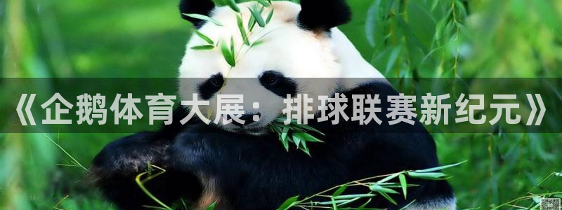 cba直播看球吧