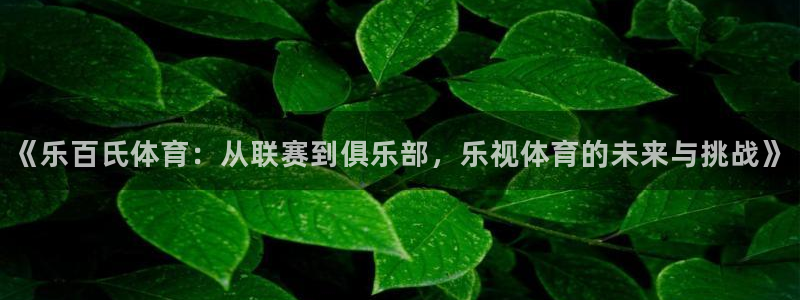 nba直播 看球吧