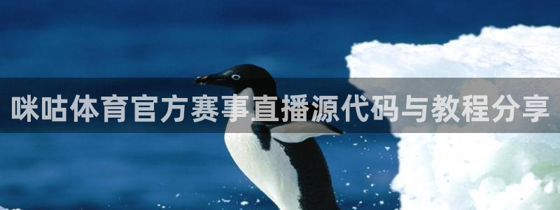 看球吧在线观看免费直播