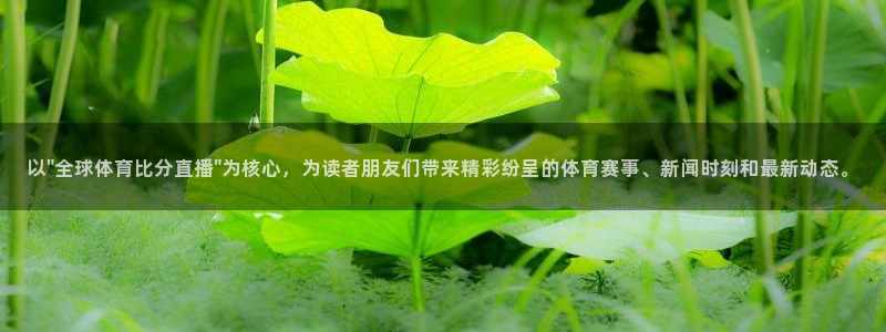nba无插件直播看球吧：以\