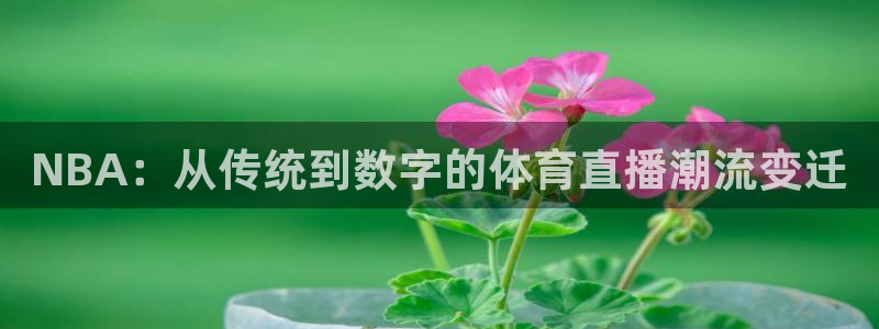 体育直播看球吧：NBA：从传统到数字的体育直播潮流变迁