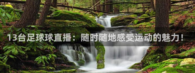 jrs直播低调看球吧：13台足球球直播：随时随地感受运动的魅力！