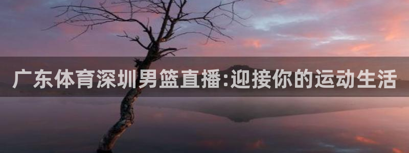 看球吧直播 在线观看nba