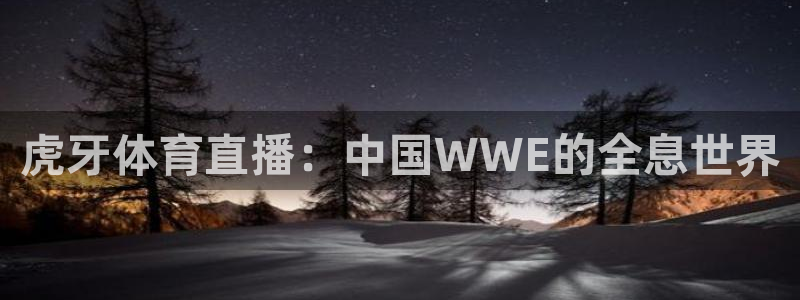 体育赛事视频直播看球吧