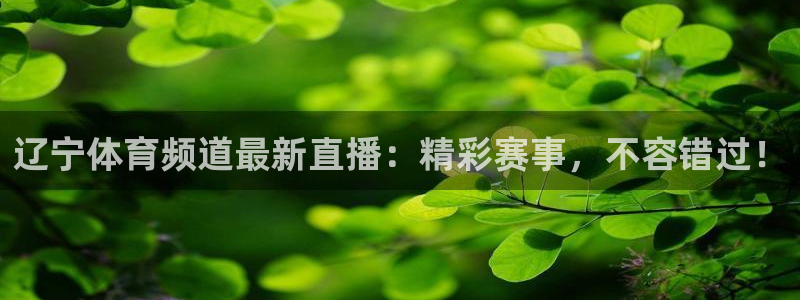 看球吧jrs低调直播nba：辽宁体育频道最新直播：精彩赛事，不容错过！