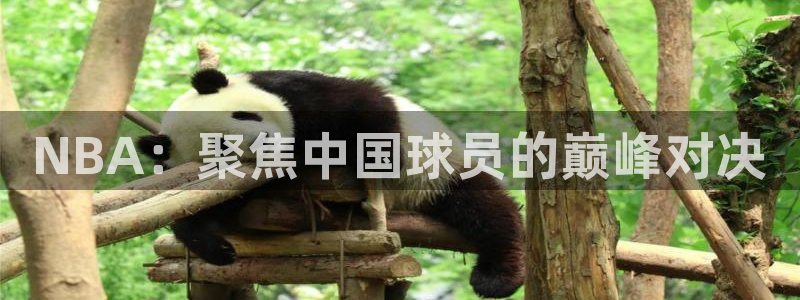 看球吧：NBA：聚焦中国球员的巅峰对决