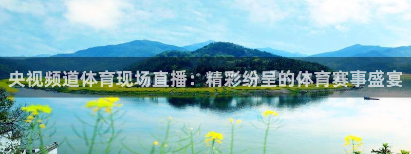 看球吧nba直播：央视频道体育现场直播：精彩纷呈的体育赛事盛宴