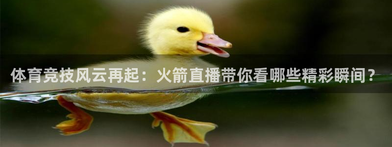 看球吧体育直播app：体育竞技风云再起：火箭直播带你看哪些精彩瞬间？