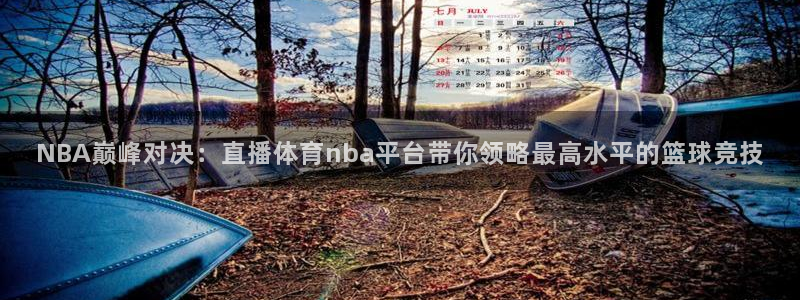 nba无插件直播看球吧：NBA巅峰对决：直播体育nba平台带你领略最高水平的篮球竞技